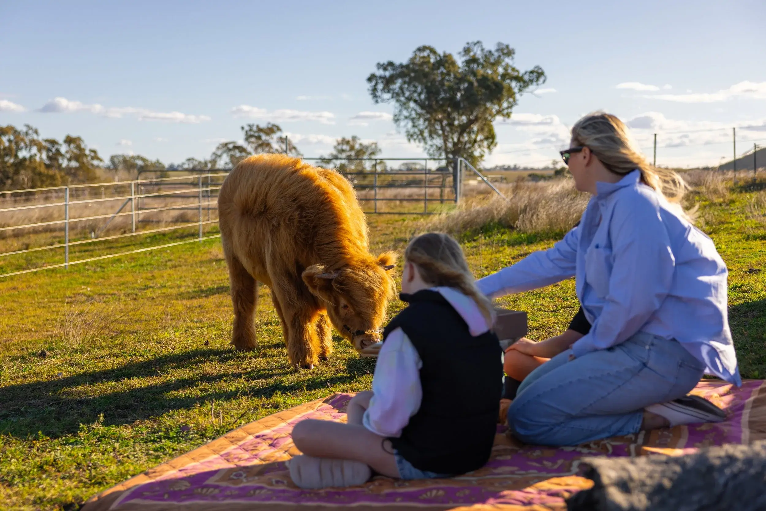 A mother and daughter feeding a calf from their picnic rug